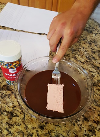 Chocolate Ice Cream Square